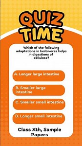 Class 10 CBSE Quiz | Board Sample Paper & Previous Year Questions | Attempt in Comments #Shorts