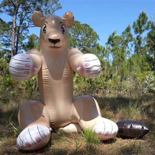 Laini the Inflatable Lioness from Horseplay Toys