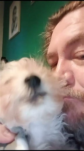 My Italian opera mutt 🇮🇹🎵🎼🎶