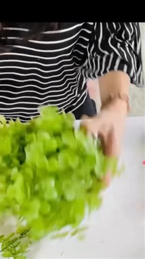 4.9K views · 100 reactions | Sharing a DIY Dollar Tree topiary  | Olivia's Romantic Home DIY | Facebook