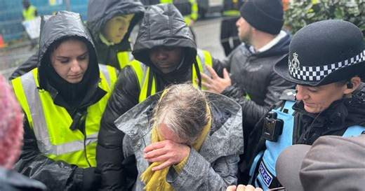 Clashes as controversial trees get chopped despite battle