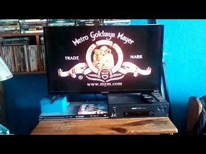 Opening To A Guy Thing 2003 DVD (Widescreen Version)