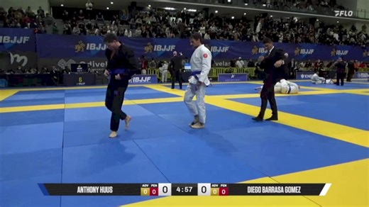 Diego Barrasa Gomez vs Anthony Huus 2025 European Jiu-Jitsu IBJJF Championship
