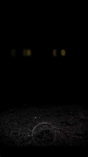 #csaconference2025 #climatesmartagriculture #foodsystems #innovation #policy #sustainability #cop30 | Clim-Eat