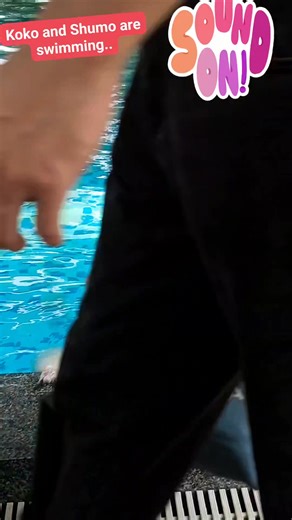 Koko and Shumo are swimming..Thonglor Pets compound shop.. #swimming #pets #followers2025 #highlight #followers #supporters #viewers #hilightsfollowers #nocopyrightinstatementsofmusicisnotmine #thelmacayabyabgagarin #thailand | Thelma Gagarin