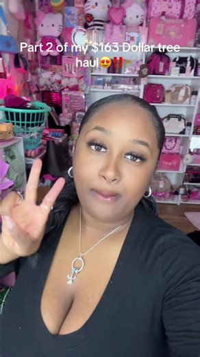 $163 Dollar Tree Haul - Part 2