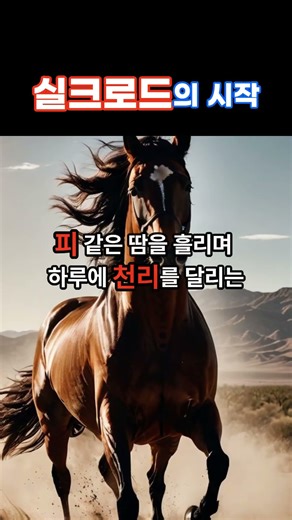 실크로드의 시작 #세계사 #역사 #지식 #고대 #명언 #한나라 #실크로드 #비단길 #장건 #흉노족 #월지국