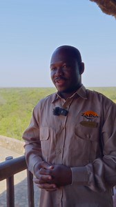 Danny Wonders visited Zaina Lodge and drew the spotlight what Zaina has to offer - safaris, community tours and more! | Zaina