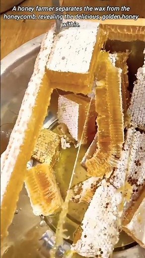 Separating Honey from Wax.