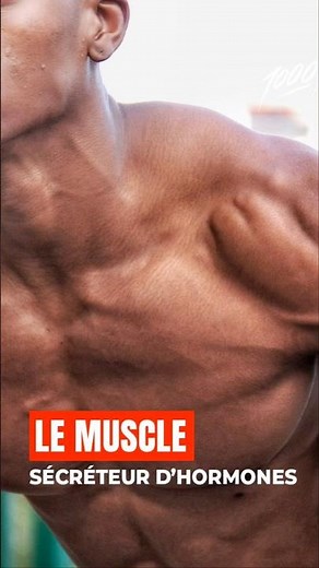 Muscle: The Pillar of Metabolism