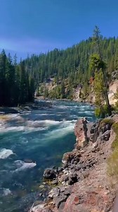 Amazing views of the Upper Falls of the Yellowstone River😍 📷 'ronniefalasco' | Cody Yellowstone