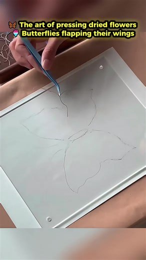 🦋 The art of pressing dried flowers 🍧 Butterfli | Pressing Flowers