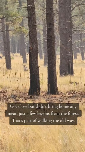 Way of the Longbow #traditionalbowhunter #traditionalbowhunting #bowhunter #tradlife #archery | Justin Thomsen