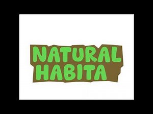 AI Generates Object Show Team Names And I Animate It 2 - Natural Habitat