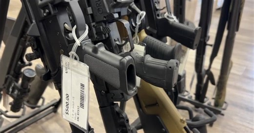 'We have the right to protect ourselves': Possible changes could be coming to gun laws in Florida