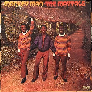The Maytals - Monkey Man