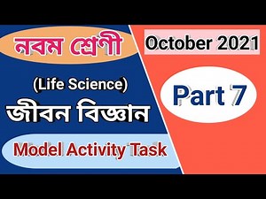 Class 9 life science model activity task part 7, class ix Life science model activity task October
