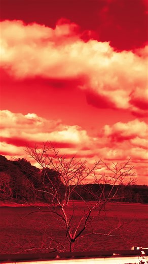 𝔗𝔦𝔭𝔭𝔦 (maria b)🪲🧞‍♀️ (@petalledclock)’s videos with green to blue - ❀