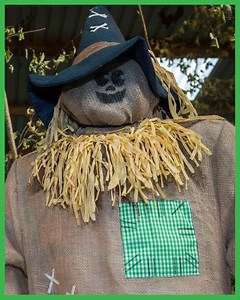 Our Halloween event is now ON!!! Check out our ghost hunts, slime making, a trick or treat ghost train ride, scarecrow trails and meet some creepy characters such as Professor Hal O'Ween! 👻 😱 🎃 We have loads of spookatacular fun and games every day over half term (19 October - 3 November) - don't miss it! See more at https://www.folly-farm.co.uk/whats-on/spooky-halloween/ #halloween #spooktacular #spookyhalloween #trickortreat #halftermfun #familyfun #makememories #whatson #events | Folly Far