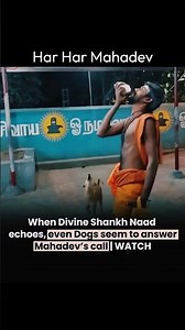 Dogs Responded to Shankh Naad… This Was Not Normal 🐕🕉️