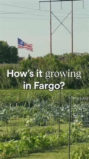 How’s it growing in Fargo? 🌱 Our Welcome Garden is a neighborhood hub for refugees to gather in community and grow culturally-relevant produce. In 2025 alone, the garden has harvested 6,181 lbs of fruits and vegetables—and we’re still growing! 🌶️🥬🥒 | Global Refuge