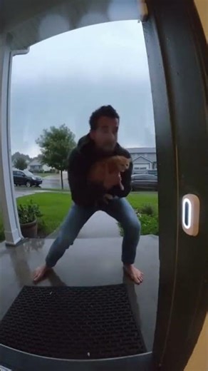 Man save a CAT #emotional #hero #rescue