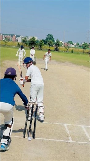 Fast bowler, leg-side delivery Quick hands, perfect positioning. This is elite wicket-keeping. out??