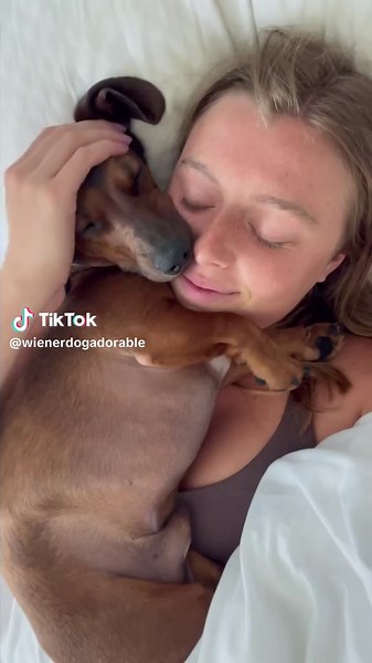 Hilarious Wiener Dog Moments