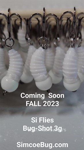 The original Bug-Shot is coming back! | Si Flies