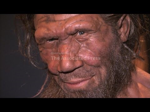 A genetic analysis reveals new details on ancient couplings between humans and Neanderthals