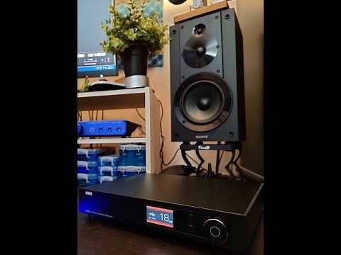 Sony SS-CS5 Budget Friendly Reference Speaker Honest Audiophile impressions