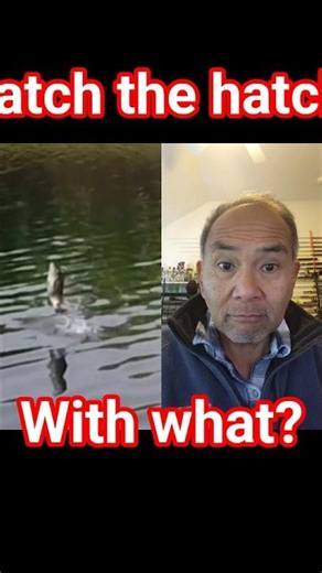 Caught BASS eating Dragonfly, Match the Hatch with... 🤔 #bassfishing #fishing #flyfishing