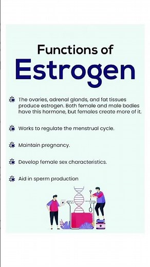 Function of oestrogen