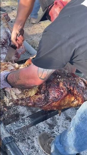 Whole Steer Cooked Over Open Fire Boerne Texas