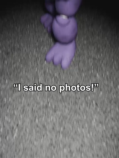 AniMOGtronics #fnaf #bonnie #freddy #photogenic #fnafmemes #mariahcarey