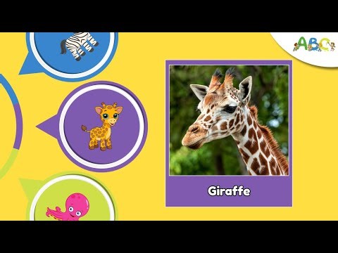 100 Wild Animal Facts for Kids | Learn Animal Names and Facts with 100 Animals for Kids