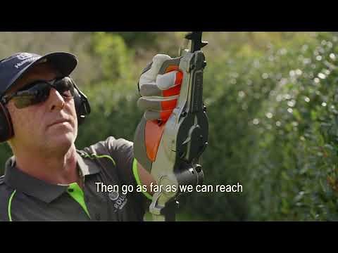 Hedge Trimming Tips and Tricks - Verduous Gardens