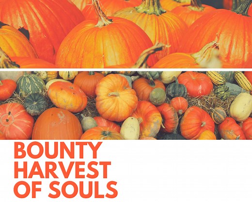 50 Prayer Points For Harvest Of Souls -