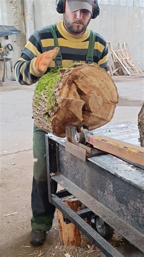 How to split a big log 🔥🪵 #woodworking