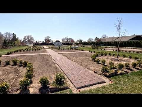 Replacing Dead Plants, Transplanting Delphiniums & Formal Flower Garden Pathway Update! 🥀🌿😍