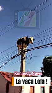 𝗔𝗡𝗗𝗘 𝗖𝗔𝗣𝗜𝗔𝗧𝗔 | Kennedy News