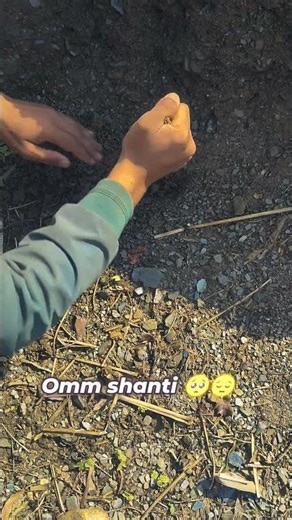 om shanti 🥺#death #rat #yosho