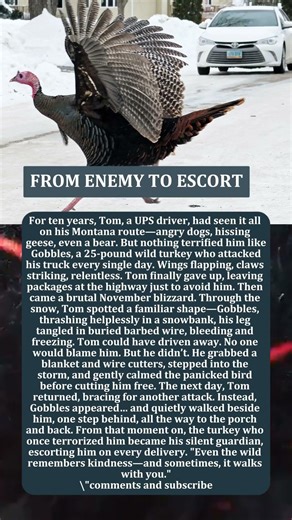 FROM ENEMY TO ESCORT