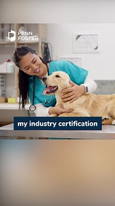 Our Vet Programs are convenient, accredited, affordable, and led by expert faculty. | Penn Foster | Facebook