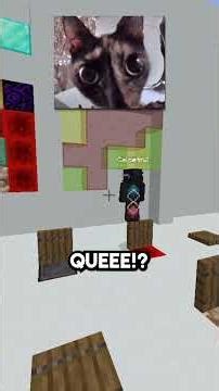 SOY MUY BUENO ADIVINANDO EL COLOR 😎 #minecraft #laos