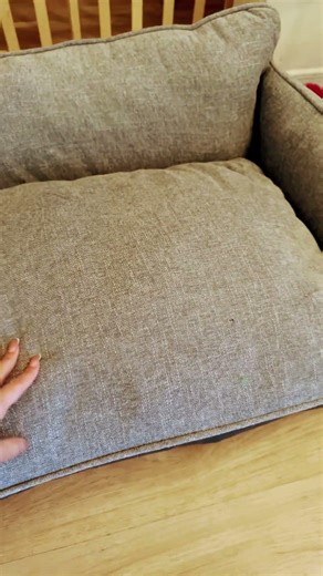 Everyone I got a new couch. How long do you think it’s gonna last?