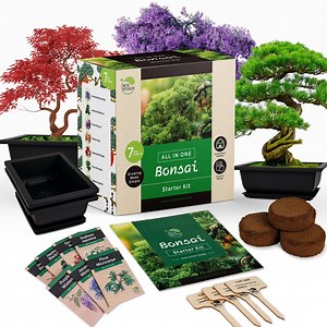 [Hot Item] Realpetaled Bonsai Starter Kit Japanese Bonsai Tree Kit with Bonsai Tools 7 Bonsai Tree Seeds Pots Complete Grow Your Own Bonsai Tree Live Kit