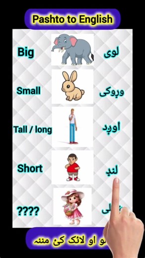Pashto translation to English