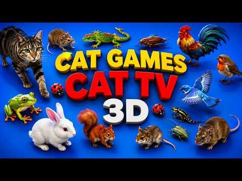 🐱 CAT TV 3D GAME ZONE | Epic Mouse, Bird, Lizard & Bug Hunt | Fun Videos for Cats | 4K 60 FPS