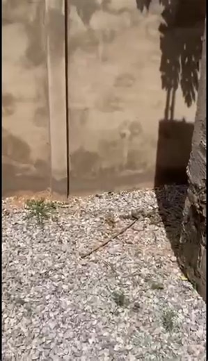 Affordable 3-Bedroom Self-Compound Rental in Amasaman